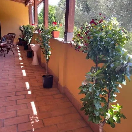 La Terrazza Dei Ciliegi * Santa Maria Degli Angeli (Assisi)